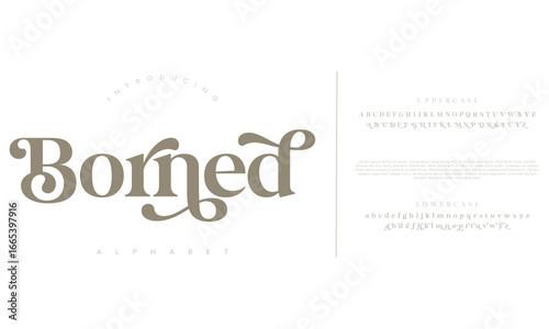 Classic Typography Minimal Fashion Designs. Typeface modern serif fonts and numbers. Elegant stylish alphabet letters font, ligatures, and number.