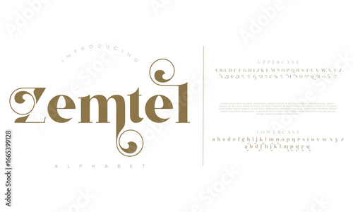 Luxury alphabet letters font and number. Typography elegant wedding classic lettering serif fonts decorative vintage retro concept. vector illustration