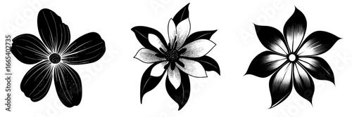 Daisy flower featuring a halftone stipple effect, suitable for a grunge punk y2k collage design, characterized by a modern illustration with a grainy photocopy texture for an experimental dotted