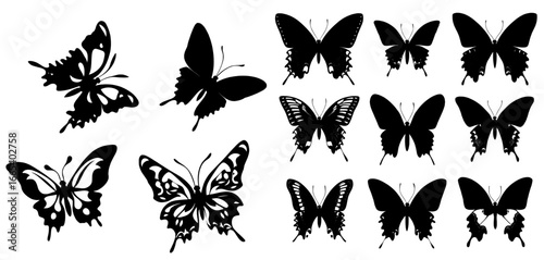 Flying butterflies appear as silhouettes on a black isolated shape set against white background