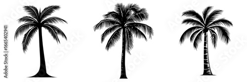 A simple yet striking black and white silhouette of a palm tree evokes feelings of relaxation, escape, and tranquility, perfect for design projects