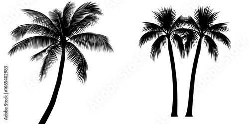 Palm Tree Icon is a simple black and white illustration of a palm tree, making it perfect for incorporation into design projects, websites, and mobile applications