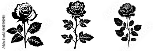 The 'Black and White Rose Illustration' is a simple yet elegant depiction of a rose in monochrome, ideal for infusing designs with sophistication and timeless beauty