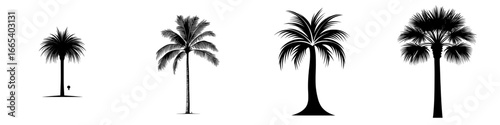 A striking silhouette of a palm tree with its fronds reaching towards the sky symbolizes tropical paradise, relaxation, and the beauty of nature, as seen in the Palm Tree Silhouette