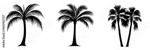 The silhouette of a palm tree represents a tropical paradise, embodying relaxation and vacation, and is a simple yet evocative image that symbolizes serenity