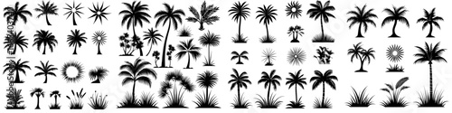 Palm Tree Icons is a collection of 24 unique and stylized palm tree icons perfect for tropical themes, travel brochures, summer designs, and more