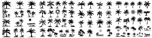 The Palm Tree Icon Set is comprised of 12 stylized icons of palm trees, ideal for use in web design, app development, and branding, with each one showcasing a distinct design that embodies the spirit