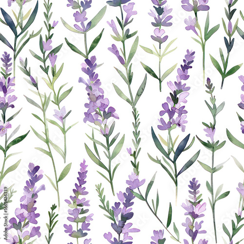 Lavender Seamless Pattern. Watercolor Provence Design