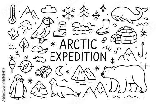 Arctic expedition doodle set: polar animals and adventure icons in a fun linear style