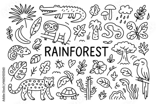 Hand drawn rainforest doodle with animals and plants