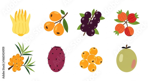 Simple Vector Fruit Set-12.eps