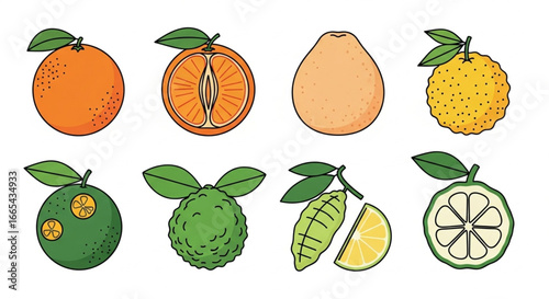 Simple Vector Fruit Set-11.eps
