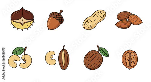 Simple Vector Fruit Set-14.eps