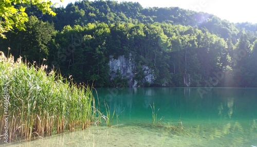 Tranquil lake nestled amidst lush greenery, showcasing a serene, emerald-hued water reflecting the surrounding forest.