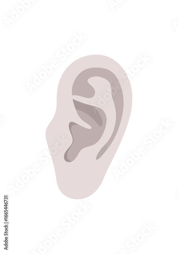 Stylized Illustration of a Human Ear with Subtle Shading.