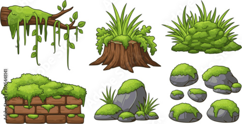 Green moss and lichen set. Swamp plant and liana hanging on forest tree branch, grass and oakmoss growth on brown stump and brick wall, mossy rocks and stones collection cartoon 