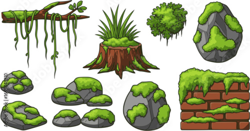Green moss and lichen set. Swamp plant and liana hanging on forest tree branch, grass and oakmoss growth on brown stump and brick wall, mossy rocks and stones collection cartoon 