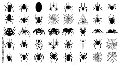 A diverse and captivating collection of spider silhouettes and intricate web designs, perfect for adding a touch of nature or spooky charm to any project