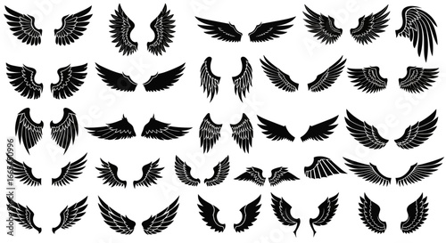 A comprehensive assortment of intricately designed celestial and avian wings, perfect for graphic embellishments, symbolic representations, and creative projects