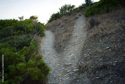 Dirt fork in the road paths, one path going up and other going down