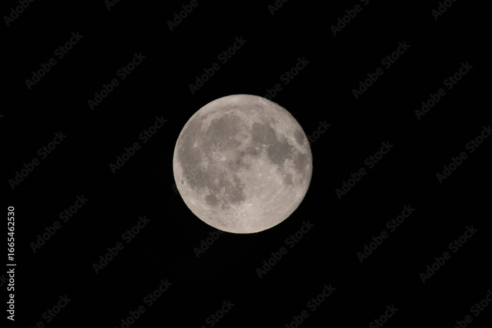 Fototapeta premium The simple moon