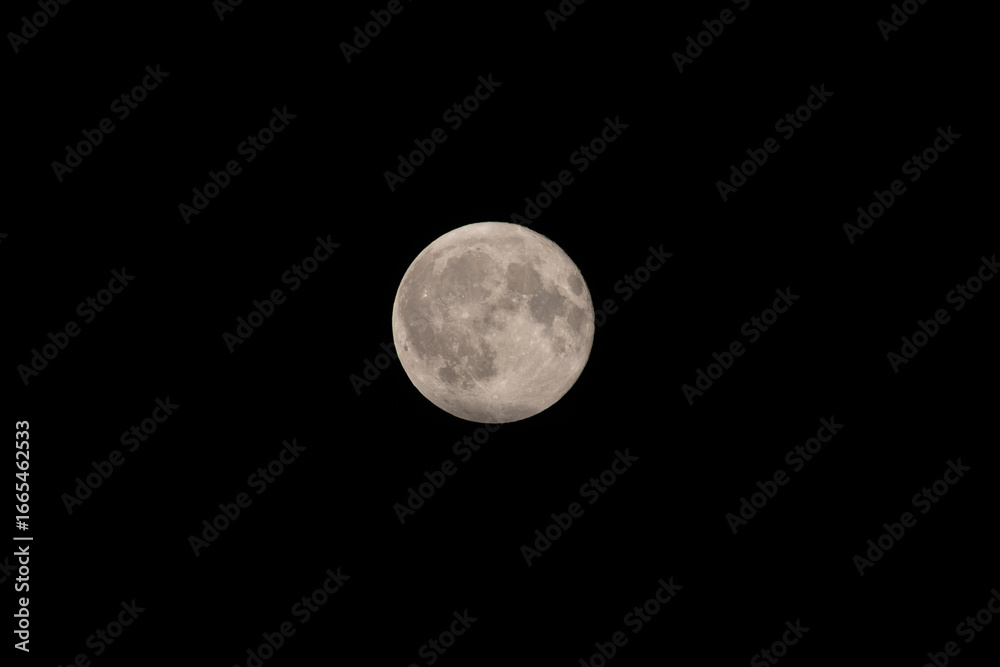 Obraz premium The simple moon