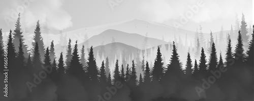 Vector illustration of a layered forest and mountain landscape banner featuring a dense line of pine trees in the foreground and a misty sky in the background.