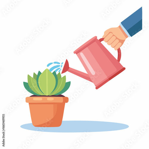 Hand Watering Succulent Plant In Pot