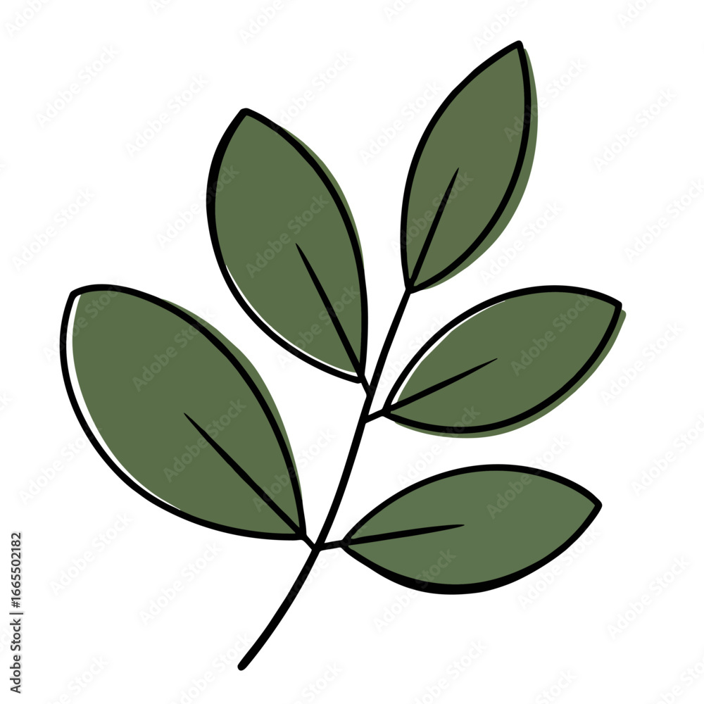 Fototapeta premium green leaves on white background