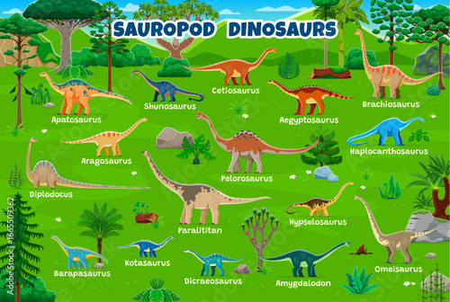 Prehistoric sauropod dinosaurs infographics. Cartoon vector dino species in green jungle. Ancient reptiles with names educational chart with terrain herbivore Jurassic era creatures, extinct dinosaurs