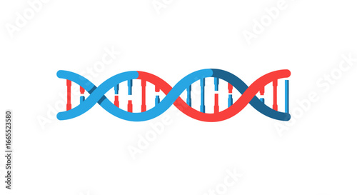 A stylized illustration of a DNA double helix structure, with blue and red strands intertwined against a white background.