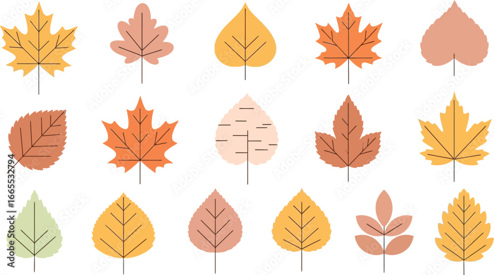 Fototapeta premium Autumn leaves collection: stunning fall foliage designs for elegant seasonal projects