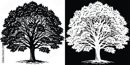 Stunning silhouette tree with detailed branches and foliage, showcasing nature's beauty in stark black and white contrast