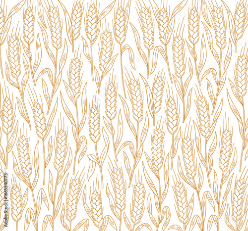 Cereal wheat pattern background. Ears of wheat, rye or barley. Wrapping paper for bread.
