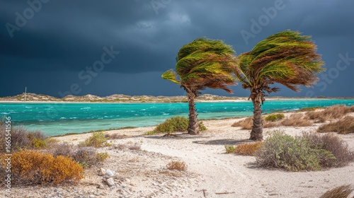 Two palm trees swaying in the wind on a beach with turquoise water and a dramatic sky.