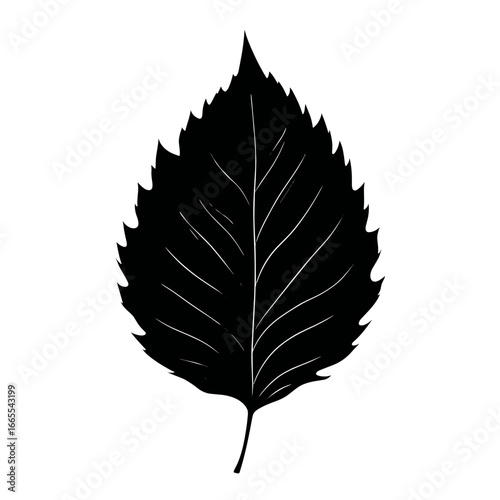 Silhouette of a pointed leaf with visible veins, simple black design