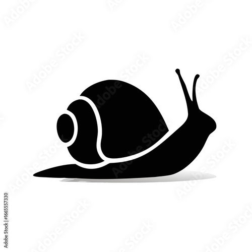 Snail icon isolated on white background. Simple flat snail shell vector pictogram.
