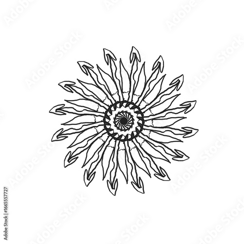 Dancing Feathers Symmetrically Spiraling.  Flower of Feathers. 