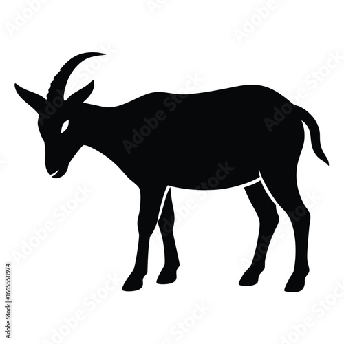 Black antelope grazing silhouette white