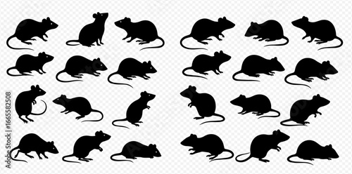 Collection of black rat and mouse silhouettes in various poses on a transparent background, ideal for graphic design.