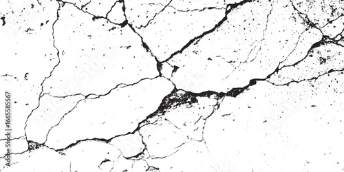 Distressed Concrete Surface Crack Pattern Abstract Vector Black and White Grunge Overlay