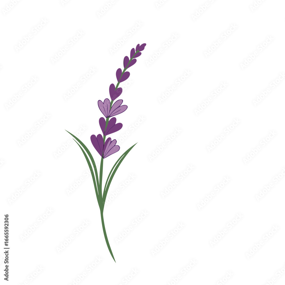 Naklejka premium Lavender Logo Template vector symbol nature 