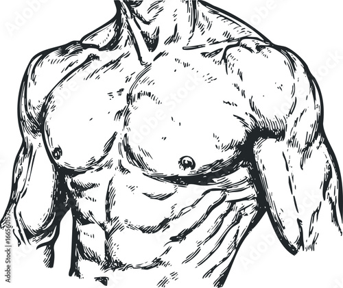Dramatic sketch of a muscular male torso with defined abs and chest muscles