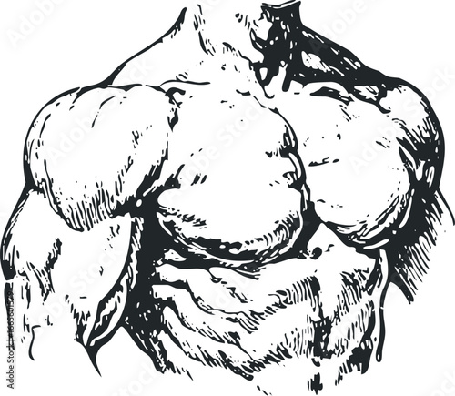 Muscular Male Torso With Defined Chest and Shoulder Muscles in Black and White Sketch Style