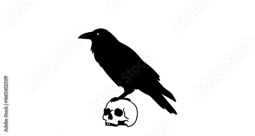 Halloween black raven perched on skull illustration vector graphic design element for halloween and gothic themes drawing vector
