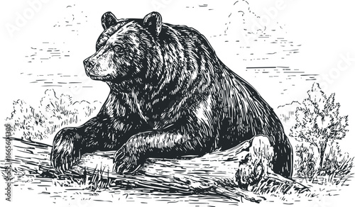 Detailed Ink Drawing of a Grizzly Bear Resting on a Log Outdoors