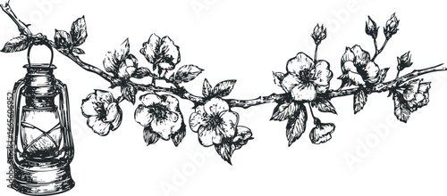 Sketch of vintage kerosene lantern hanging from flowering branch