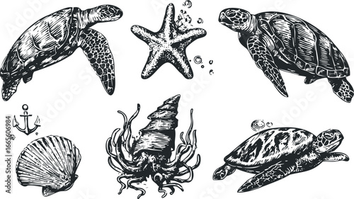 Vintage Style Sea Turtle and Ocean Life Collection with Anchor