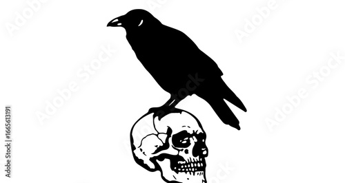 Halloween black raven perched on skull vector illustration gothic death halloween bird animal drawing graphic design art vector