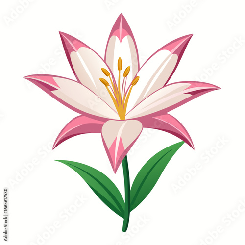 vector illustration  zephyranthes robusta flower